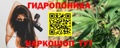 PSILOCYBIN Конаково