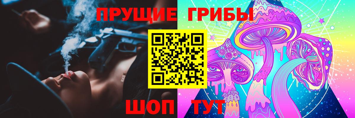 Псилоцибиновые грибы GOLDEN TEACHER  Вход с VPN  Мценск  Псилоцибиновые грибы мухоморы 