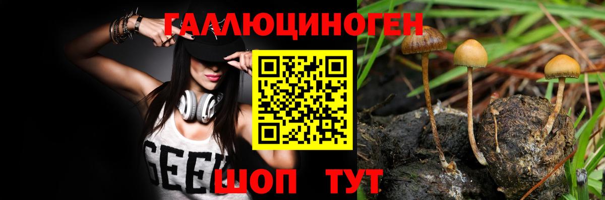 Галлюциногенные грибы Psilocybine cubensis Мценск