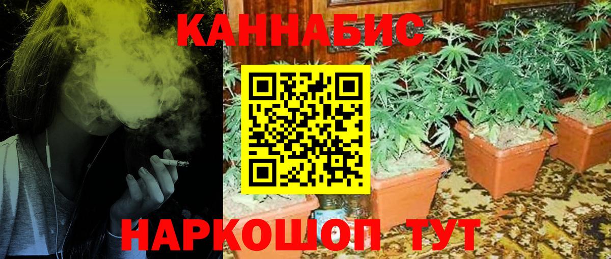 Бошки марихуана планчик Мценск